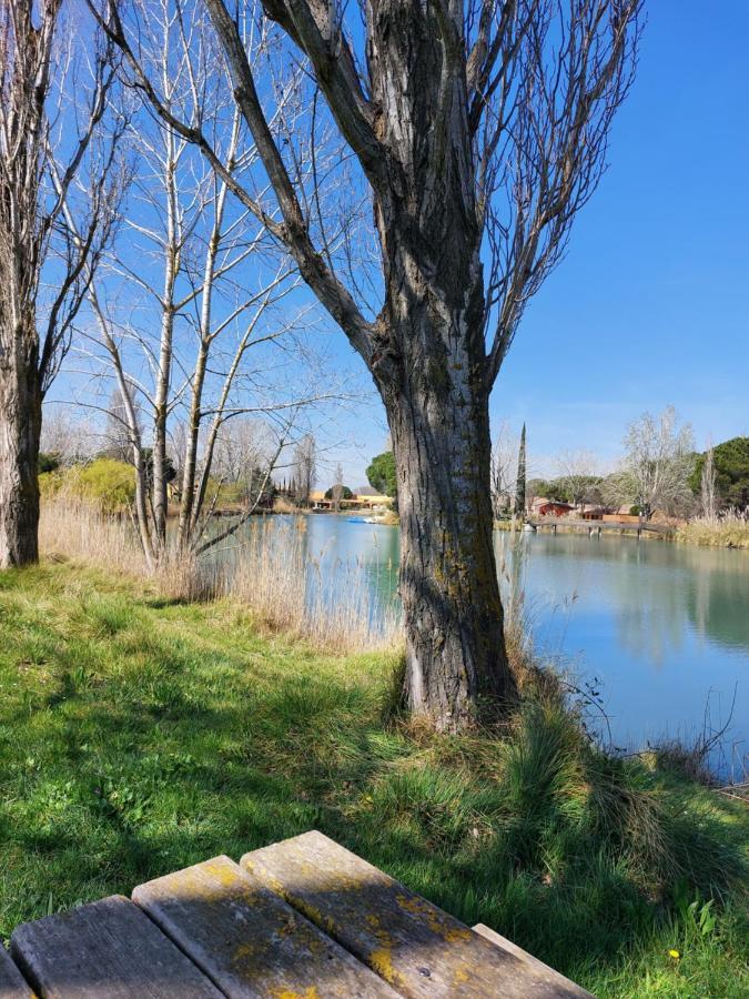Appartement Aux Abords Du Lac à Arles Extérieur photo